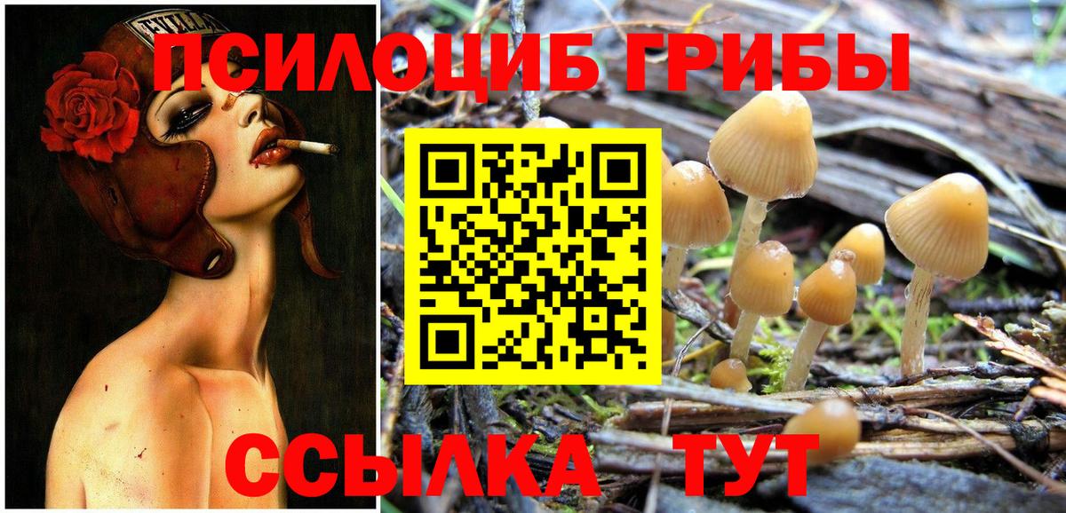 Псилоцибиновые грибы Psilocybe  Псилоцибиновые грибы Cubensis  Усть-Джегута  Вход с VPN 